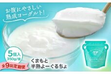 【全9回定期便】オオヤブデイリーファーム くまもと半熟よーぐるちょ 350g×5個【株式会社 オオヤブデイリーファーム】 [AYAE021]