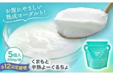 【全12回定期便】オオヤブデイリーファーム くまもと半熟よーぐるちょ 350g×5個【株式会社 オオヤブデイリーファーム】 [AYAE024]