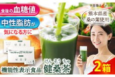 機能性表示食品 健桑茶 2箱【株式会社 峯樹木園】 [AYBM002]