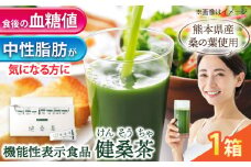 機能性表示食品 健桑茶 1箱【株式会社 峯樹木園】 [AYBM004]