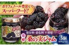 発酵桑の実 ジャム 3個セット（100g×3） 【株式会社 峯樹木園】 [AYBM012]
