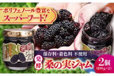 発酵桑の実 ジャム 2個セット（100g×2） 【株式会社 峯樹木園】 [AYBM011]