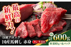 【フジチク】国産 馬刺し 赤身 約100g×6個（計約600g）【亀井通産 株式会社】赤身 馬刺し タレ付き 馬肉 熊本県 合志市  [AYBQ047]