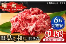 【全6回定期便】熊本県産 『原田畜産』 黒毛和牛 切り落とし 計約1kg（約250g×4パック） 牛肉 牛【有限会社 九州食肉産業】 黒毛 和牛 国産 牛丼 スタミナ丼 プルコギ丼 肉炒め ハヤシライス カレー 野菜炒め 肉 熊本県 熊本 合志 合志市 [AYCN046]