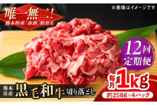 【全12回定期便】熊本県産 『原田畜産』 黒毛和牛 切り落とし 計約1kg（約250g×4パック） 牛肉 牛【有限会社 九州食肉産業】 黒毛 和牛 国産 牛丼 スタミナ丼 プルコギ丼 肉炒め ハヤシライス カレー 野菜炒め 肉 熊本県 熊本 合志 合志市 [AYCN047]