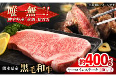 熊本県産 『原田畜産』 黒毛和牛 サーロイン ステーキ 計約400g（約200g×2枚） 牛肉 牛【有限会社 九州食肉産業】 黒毛 和牛 国産 サーロインステーキ お肉 肉 熊本県 熊本 合志 合志市  [AYCN049]