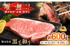 熊本県産 『原田畜産』 黒毛和牛 サーロイン ステーキ 計約600g（約200g×3枚） 牛肉 牛【有限会社 九州食肉産業】 黒毛 和牛 国産 サーロインステーキ お肉 肉 熊本県 熊本 合志 合志市 [AYCN050]