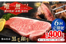 【全6回定期便】熊本県産 『原田畜産』 黒毛和牛 サーロイン ステーキ 計約400g（約200g×2枚）【有限会社 九州食肉産業】 黒毛 和牛 国産 サーロインステーキ お肉 肉 熊本県 熊本 合志 合志市 [AYCN052]