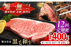 【全12回定期便】熊本県産 『原田畜産』 黒毛和牛 サーロイン ステーキ 計約400g（約200g×2枚）【有限会社 九州食肉産業】 黒毛 和牛 国産 サーロインステーキ お肉 肉 熊本県 熊本 合志 合志市 [AYCN053]