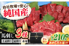 【全6回定期便】『純国産』熊本の味 馬刺し お試し 3種 セット 計約210g（2〜3人前）上霜降り 霜降り 赤身 タレ付 馬さし 馬肉 おためし 熊本 合志 おろし生姜付き 冷凍 定期【有限会社 九州食肉産業】 [AYCN071]