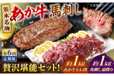 【全6回定期便】熊本の贅沢 あか牛 ヒレ肉 約1kg 霜降り 馬刺し 約1kg 堪能セット 【合同会社 たべたせいか】 赤牛 和牛 牛肉 馬肉 牛 馬 肉 霜降り ヒレ ヘルシー 冷凍  熊本県 定期便 [AYCB043]