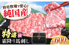 『純国産』熊本の味「桜」霜降り馬刺し「特選」 計約600g（約300g×2セット） 霜降り 馬肉 馬刺【有限会社 九州食肉産業】 [AYCN022]