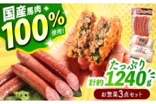 『純国産』熊本の味「桜」 国産 馬肉 100% お惣菜 3点セット 約1240g ウィンナー コロッケ メンチカツ【有限会社 九州食肉産業】 馬肉 桜肉 馬 うま ウマ ヘルシー 国産 小分け セット 冷凍 食品 ウインナー ニラ メンチ 揚げ物 惣菜 合志 合志市  [AYCN037]