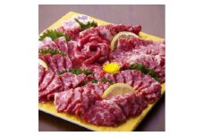 熊本 馬刺し 霜降り (大トロ) 約500g 【くまもと食彩の力】 冷凍 ヘルシー おつまみ たれ 馬 肉 馬肉 桜肉 霜降り トロ 小分け 個包装 便利 熊本県 [AYAN020]