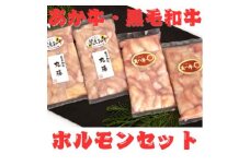 くまもとあか牛 ホルモン セット 約200g×2袋 くまもと 黒毛和牛 ホルモンセット 約200g×2袋 合計約800g【くまもと食彩の力】 あか牛 和牛 牛肉 牛 肉 小腸 丸腸 食べ比べ 冷凍 国産 熊本 [AYAN030]