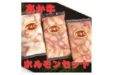 くまもとあか牛 ホルモン セット 約200g×3袋 合計約600g 【くまもと食彩の力】 あか牛 和牛 牛肉 牛 肉 小腸 冷凍 国産 熊本 [AYAN029]