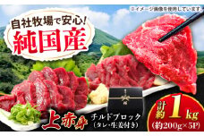 『純国産』熊本の味 上赤身 馬刺し 計約1kg（約200g×5パック）ブロック チルド 冷蔵 タレ付き 【有限会社 九州食肉産業】 馬刺し 馬肉 桜肉 馬 うま ウマ ヘルシー 国産 新鮮 専用タレ 上赤身 赤身 上質 小分け セット 大容量 低カロリー 高タンパク 冷凍 生食 生肉 産地 部位 専用醤油付 専用 醤油 専用タレ付 タレ ギフト 贈答用 食品 合志 合志市 [AYCN036]