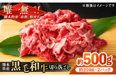 熊本県産 『原田畜産』 黒毛和牛 切り落とし 計約500g（約250g×2パック） 牛肉 牛 【有限会社 九州食肉産業】 黒毛 和牛 国産 牛丼 スタミナ丼 プルコギ丼 肉炒め ハヤシライス カレー 野菜炒め 肉 熊本県 熊本 合志 合志市  [AYCN126]