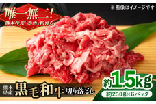 熊本県産 『原田畜産』 黒毛和牛 切り落とし 計約1.5kg（約250g×6パック） 牛肉 牛【有限会社 九州食肉産業】 黒毛 和牛 国産 牛丼 スタミナ丼 プルコギ丼 肉炒め ハヤシライス カレー 野菜炒め 肉 熊本県 熊本 合志 合志市 [AYCN127]