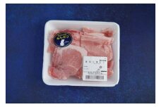 『香心ポーク』切り落とし 約250g×10パック（計約2.5kg）豚肉 冷凍 熊本県産 【有限会社 コーシン】 [AYCK017]