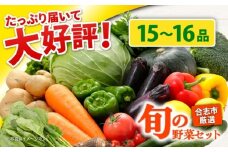 合志の旬のお野菜セット 15〜16品【一般社団法人クラッシーノこうし】野菜 旬 季節 詰合せ 国産 合志市 おまかせ 詰め合わせ 産地 直送 春野菜 夏野菜 秋野菜 冷蔵 根菜 果物 葉物 産地直送 合志 熊本県 熊本 くまもと セット お野菜 ほうれん草 小松菜 ミニトマト さといも さつまいも なす ピーマン しょうが 大根 レタス キャベツ  [AYAB112]