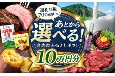 【あとから選べる！】合志市 ふるさとギフト 10万円分　【合志市役所】 [AYBZ011]