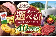 【あとから選べる！】合志市 ふるさとギフト 40万円分　【合志市役所】 [AYBZ015]