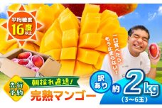 【2026年発送分 先行予約】【訳あり】 【数量限定】　菊池マンゴー約2kg（3〜6玉） L〜4Lサイズ　【友枝マンゴー農園】果物 フルーツ マンゴー アーウィン くだもの 旬 期間限定 季節限定 スイーツ 国産 [AYDF002]