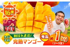 【2026年発送分 先行予約】【数量限定】秀品 菊池マンゴー約1kg（2〜3玉） L〜3Lサイズ　【友枝マンゴー農園】果物 フルーツ マンゴー アーウィン くだもの 旬 期間限定 季節限定 スイーツ 国産  [AYDF003]