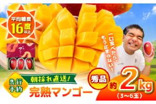 【2026年発送分 先行予約】【数量限定】秀品 菊池マンゴー約2kg（3〜6玉） L〜3Lサイズ　【友枝マンゴー農園】果物 フルーツ マンゴー アーウィン くだもの 旬 期間限定 季節限定 スイーツ 国産 [AYDF004]