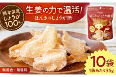 ほんきのしょうが糖 35g×10袋【ジンジベル】 [AYAD003]