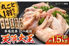 天草大王 1羽まるごとセット 計約1.5kg 【一般社団法人クラッシーノこうし】 [AYAB011]