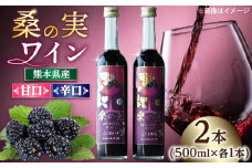 桑の実 ワイン （甘口・辛口） 500ml×2本【株式会社 峯樹木園】 [AYBM006]