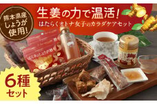 【ほんきのしょうが】はたらくオトナ女子のカラダケアセット【ジンジベル】合志市 熊本県 しょうが 生姜 しょうが糖 ジンジャー スライス 菓子 スイーツ贈り物 かわいい ギフト プレゼント 和菓子 砂糖 甘味 飴 のど飴 レモン ジャム じゃむ 瓶 調味料 甘さ控えめ 贈答 果物ジャム くだもの フルーツ 洋菓子 クッキー 焼き菓子 [AYAD007]