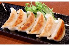 【数量限定】熊本 和牛 あか牛 ぎょうざセット 60個 【有限会社 三協畜産】 [AYCQ003]