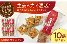 ほんきのしょうが おなかクッキー10袋セット【ジンジベル】 [AYAD008]