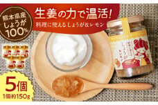 料理に使えるしょうが＆レモン 約150g×5個 セット 合計約750g【ジンジベル】 [AYAD006]