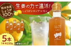 しょうがシロップ レモン 約235g×5本 セット【ジンジベル】 [AYAD009]