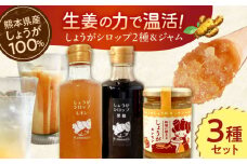 しょうが＆レモン ジャム　生姜 シロップ 2種 レモン・黒糖 セット【ジンジベル】 [AYAD010]