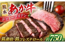 熊本 あか牛 ヒレ肉 希少部位 シャトーブリアン 約750g (約150g×5枚) 【合同会社 たべたせいか】 [AYCB050]