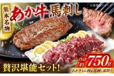 熊本の贅沢 あか牛 ヒレ肉 約450g 霜降り 馬刺し 約300g 各3P（計約750g）【合同会社 たべたせいか】 [AYCB072]