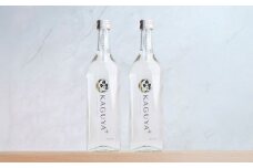 KAGUYA＋　25度720ml×2本　箱なし 　【合同会社フードラボマーケティング】 [AYDE002]