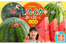 【2026年発送分 先行予約】【数量限定】【全3回定期便】 すいか 3種 食べ比べ セット 定期便 計5玉（小玉2 大玉1 黒小玉2）  スイカ 大玉 小玉 黒小玉 果物 フルーツ 【一般社団法人クラッシーノこうし】 [AYAB030]