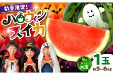 【先行予約】　【数量限定】 熊本 ハロウィンすいか 1玉（約5～6kg） 大玉 秋すいか スイカ 秋 ハロウィン  【一般社団法人クラッシーノこうし】 [AYAB031]