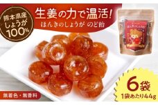 ほんきのしょうがのど飴 6袋セット【ジンジベル】 [AYAD015]