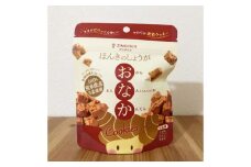 ほんきのしょうが おなかクッキー ジップパック10袋セット【ジンジベル】 [AYAD016]