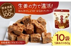 ほんきのしょうが おなかクッキー ジップパック10袋セット【ジンジベル】 [AYAD016]