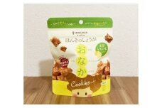 ほんきのしょうが おなかクッキー 天草レモン味10袋セット【ジンジベル】 [AYAD018]