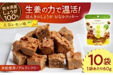 ほんきのしょうが おなかクッキー 天草レモン味10袋セット【ジンジベル】 [AYAD018]