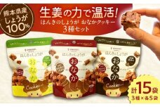 ほんきのしょうが おなかクッキー３種類各５袋セット【ジンジベル】 [AYAD019]